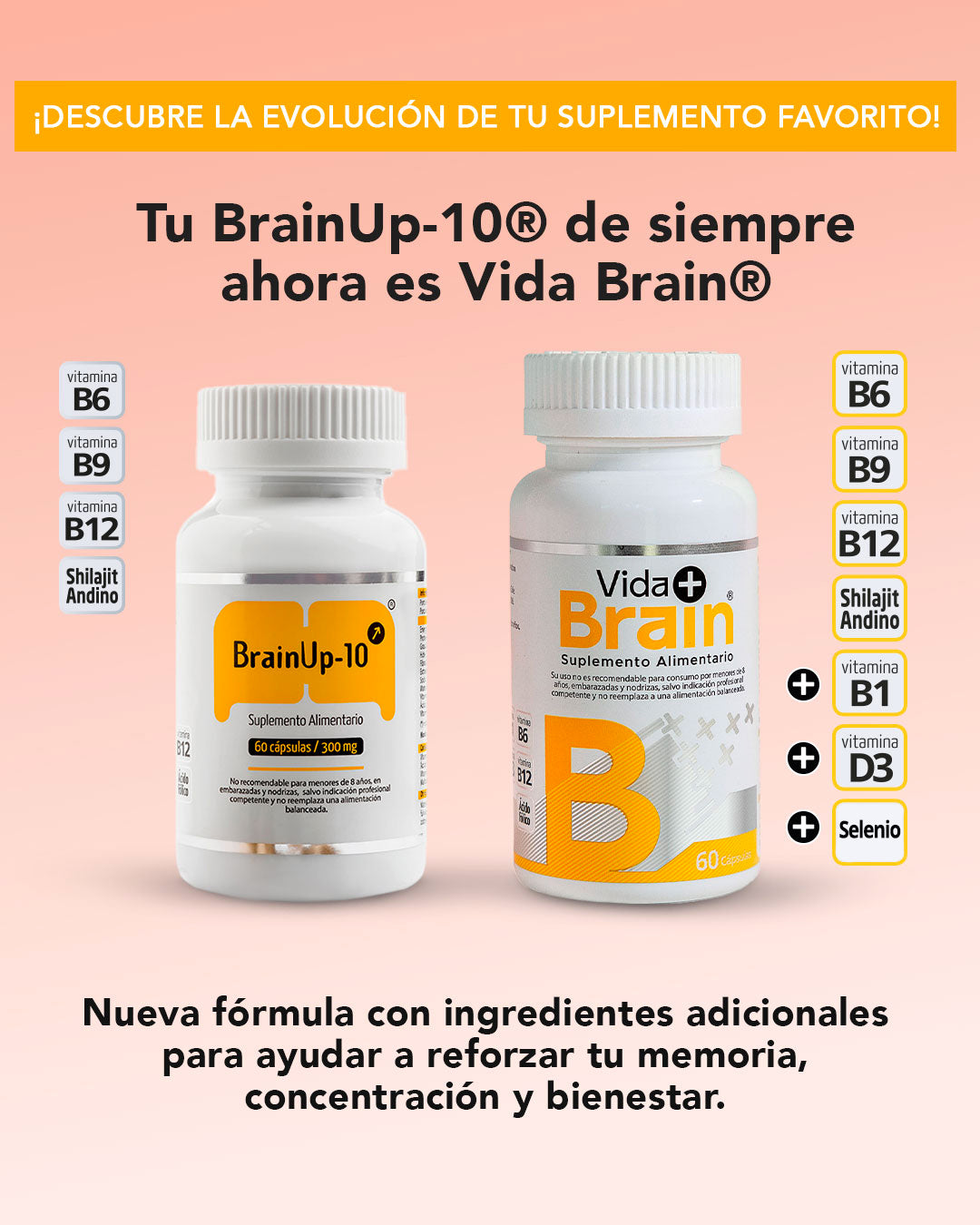 Vida Brain
