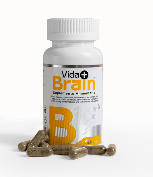 Vida Brain